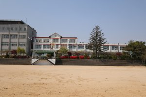 첨부 이미지